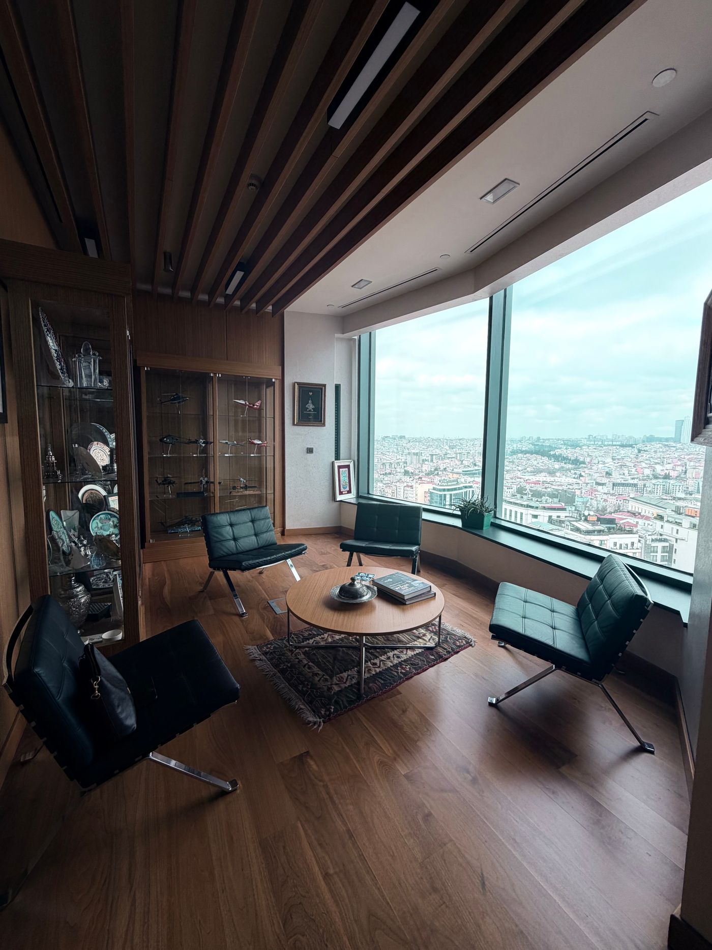 Illustrative private consultation lounge with city view, not the actual chambers
